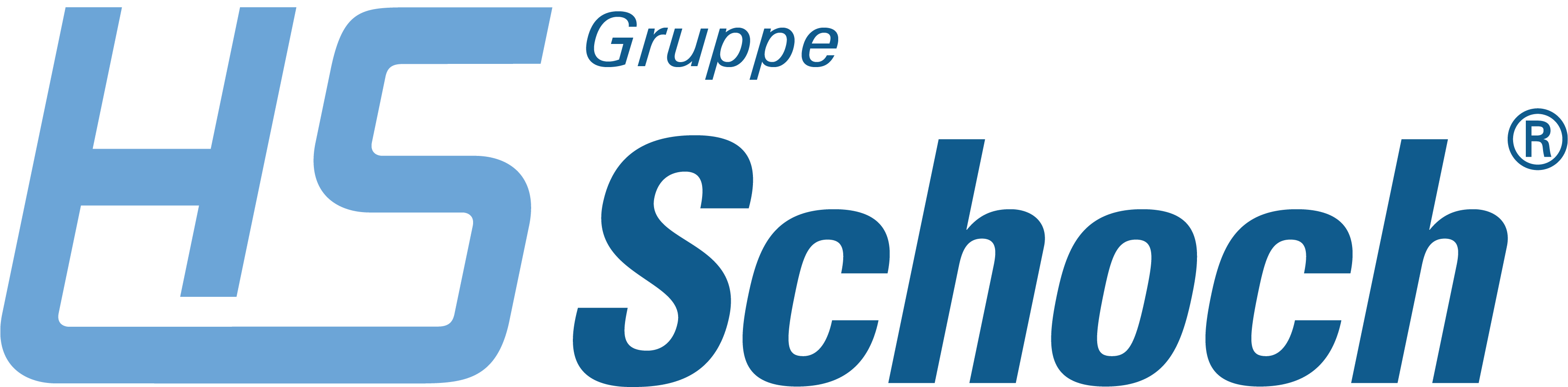 HS-Schoch Gruppe (RGB)